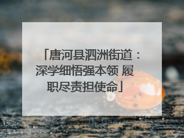 唐河县泗洲街道：深学细悟强本领 履职尽责担使命