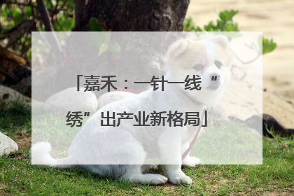 嘉禾：一针一线“绣”出产业新格局