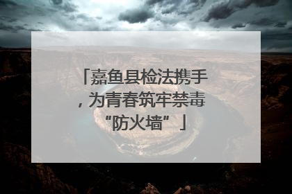 嘉鱼县检法携手，为青春筑牢禁毒“防火墙”