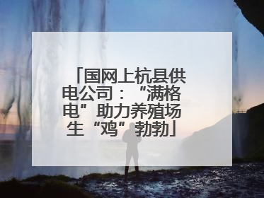 国网上杭县供电公司：“满格电”助力养殖场生“鸡”勃勃