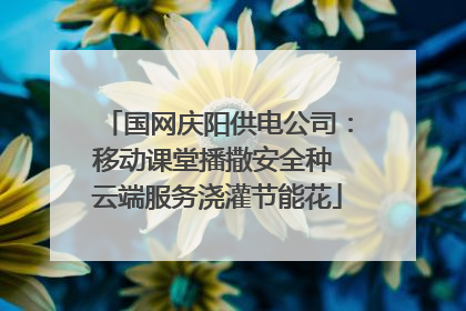 国网庆阳供电公司：移动课堂播撒安全种 云端服务浇灌节能花