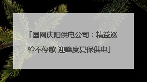 国网庆阳供电公司：精益巡检不停歇 迎峰度夏保供电