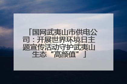 国网武夷山市供电公司：开展世界环境日主题宣传活动守护武夷山生态“高颜值”