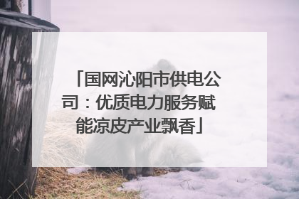 国网沁阳市供电公司：优质电力服务赋能凉皮产业飘香