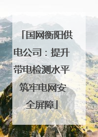 国网衡阳供电公司：提升带电检测水平 筑牢电网安全屏障