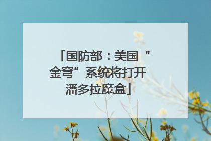 国防部：美国“金穹”系统将打开潘多拉魔盒