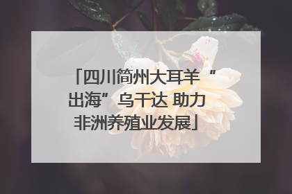 四川简州大耳羊“出海”乌干达 助力非洲养殖业发展