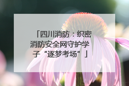 四川消防：织密消防安全网守护学子“逐梦考场”