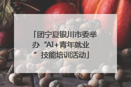 团宁夏银川市委举办“AI+青年就业”技能培训活动