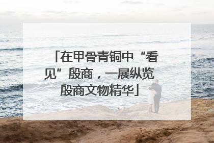 在甲骨青铜中“看见”殷商，一展纵览殷商文物精华