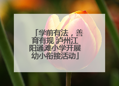 学前有法，善育有规 泸州江阳通滩小学开展幼小衔接活动