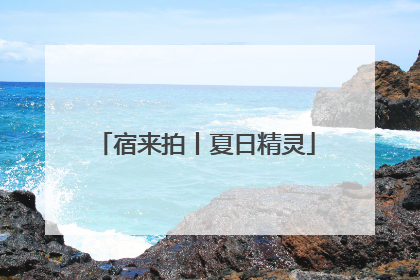 宿来拍丨夏日精灵