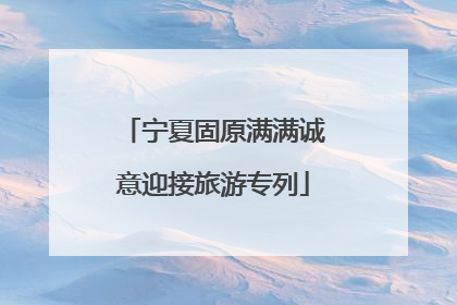 宁夏固原满满诚意迎接旅游专列