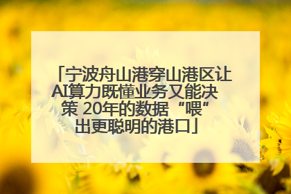 宁波舟山港穿山港区让AI算力既懂业务又能决策 20年的数据“喂”出更聪明的港口