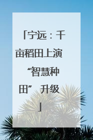 宁远：千亩稻田上演 “智慧种田” 升级