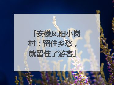 安徽凤阳小岗村：留住乡愁，就留住了游客