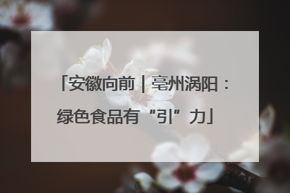 安徽向前｜亳州涡阳：绿色食品有“引”力