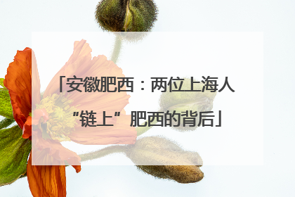 安徽肥西：两位上海人“链上”肥西的背后