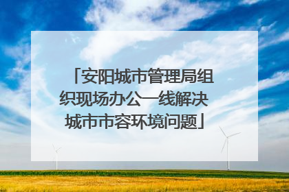 安阳城市管理局组织现场办公一线解决城市市容环境问题