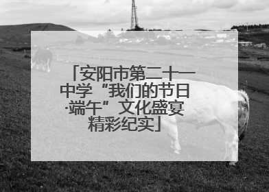 安阳市第二十一中学“我们的节日·端午”文化盛宴精彩纪实
