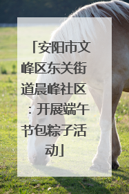 安阳市文峰区东关街道晨峰社区：开展端午节包粽子活动