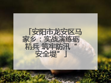 安阳市龙安区马家乡：实战演练砺精兵 筑牢防汛“安全堤”