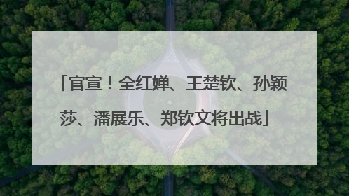 官宣！全红婵、王楚钦、孙颖莎、潘展乐、郑钦文将出战