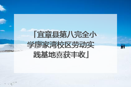 宜章县第八完全小学廖家湾校区劳动实践基地喜获丰收