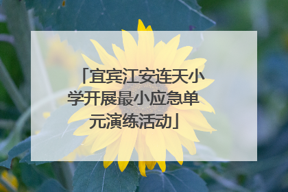 宜宾江安连天小学开展最小应急单元演练活动