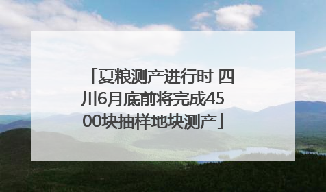 夏粮测产进行时 四川6月底前将完成4500块抽样地块测产