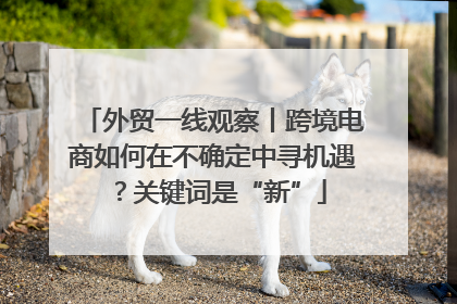 外贸一线观察丨跨境电商如何在不确定中寻机遇？关键词是“新”