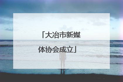 大冶市新媒体协会成立