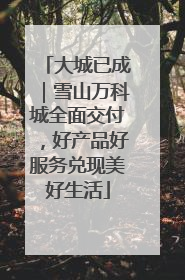 大城已成｜雪山万科城全面交付，好产品好服务兑现美好生活