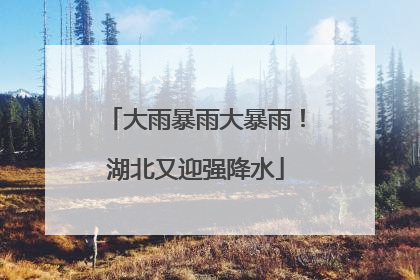 大雨暴雨大暴雨！湖北又迎强降水