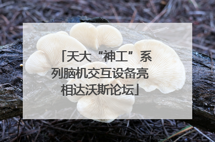 天大“神工”系列脑机交互设备亮相达沃斯论坛
