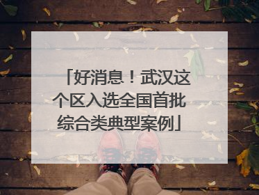 好消息！武汉这个区入选全国首批综合类典型案例