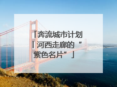 奔流城市计划丨河西走廊的“紫色名片”