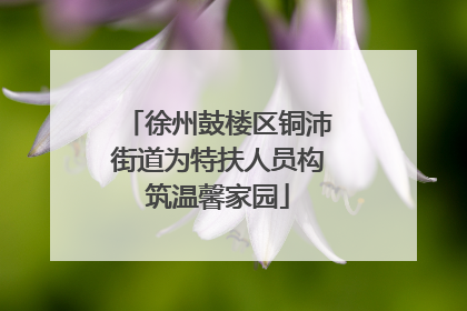 徐州鼓楼区铜沛街道为特扶人员构筑温馨家园