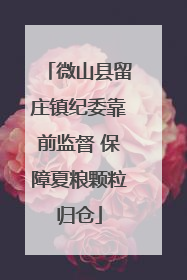 微山县留庄镇纪委靠前监督 保障夏粮颗粒归仓