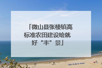 微山县张楼镇高标准农田建设绘就好“丰”景