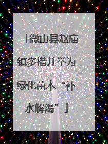 微山县赵庙镇多措并举为绿化苗木“补水解渴”