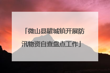 微山县驩城镇开展防汛物资自查盘点工作