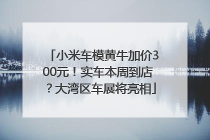 小米车模黄牛加价300元！实车本周到店？大湾区车展将亮相