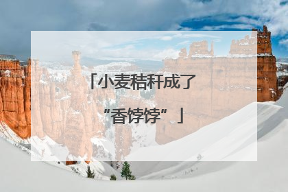 小麦秸秆成了“香饽饽”