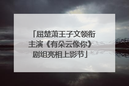 屈楚萧王子文领衔主演《有朵云像你》剧组亮相上影节