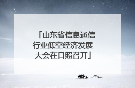 山东省信息通信行业低空经济发展大会在日照召开
