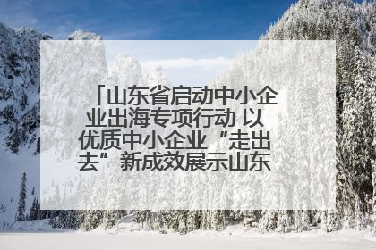 山东省启动中小企业出海专项行动 以优质中小企业“走出去”新成效展示山东产业发展新形象