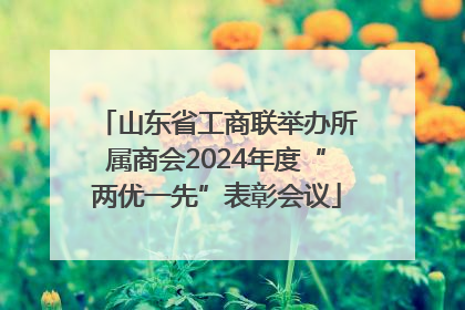 山东省工商联举办所属商会2024年度“两优一先”表彰会议