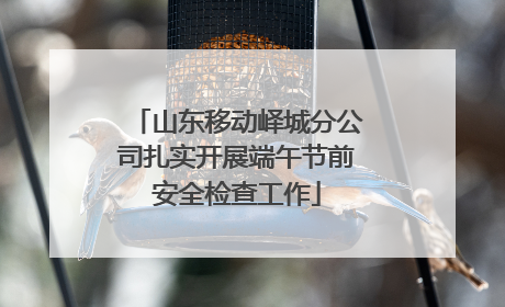 山东移动峄城分公司扎实开展端午节前安全检查工作