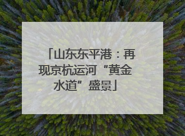 山东东平港：再现京杭运河“黄金水道”盛景